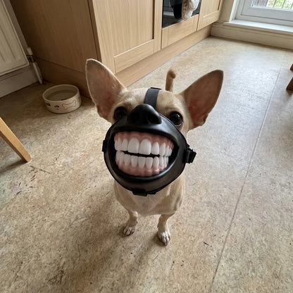 GrinPup Grin Muzzle.