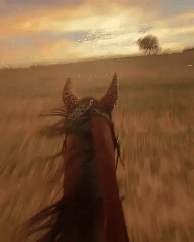 VisionCam™ Helmet 2.0